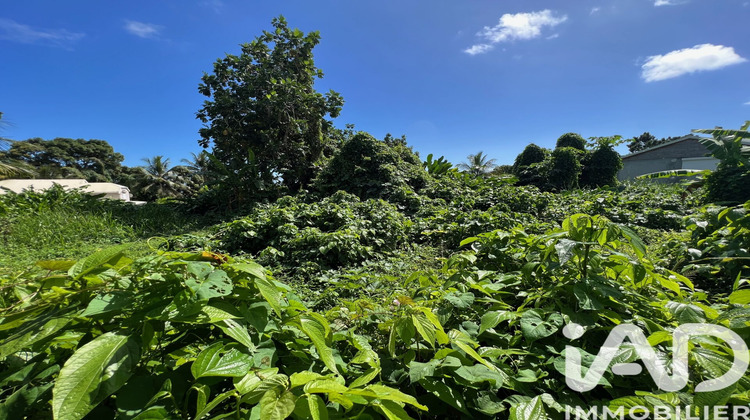 Ma-Cabane - Vente Terrain Capesterre-Belle-Eau, 1240 m²