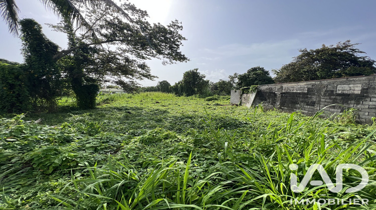 Ma-Cabane - Vente Terrain Capesterre-Belle-Eau, 1250 m²