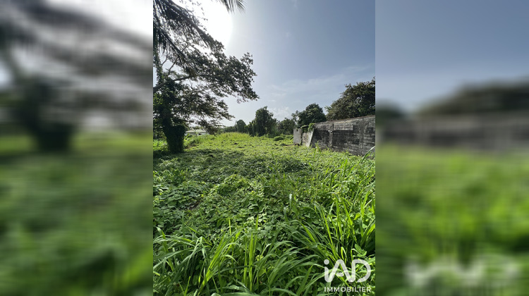 Ma-Cabane - Vente Terrain Capesterre-Belle-Eau, 1250 m²