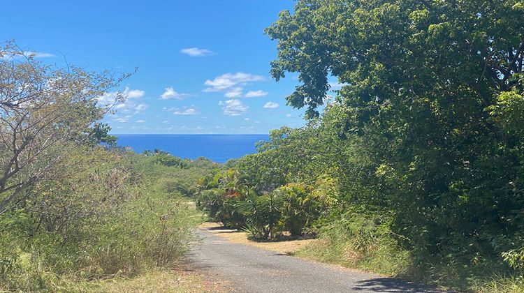 Ma-Cabane - Vente Terrain CAPESTERRE-DE-MARIE-GALANTE, 813 m²