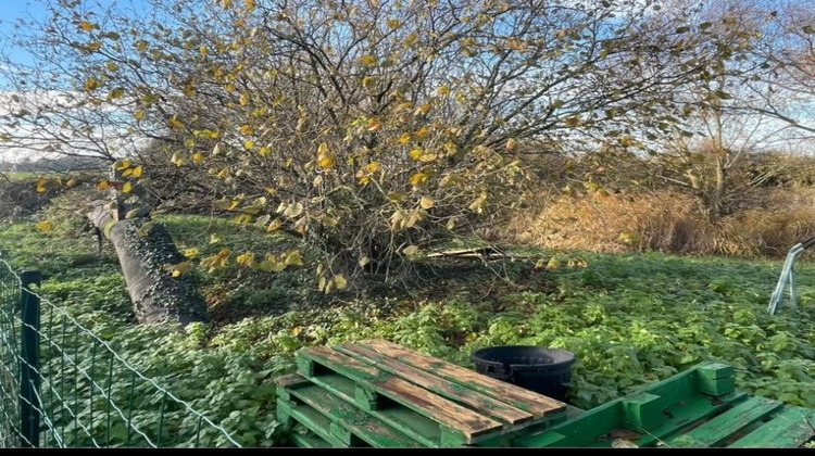 Ma-Cabane - Vente Terrain Cappelle-Brouck, 3522 m²