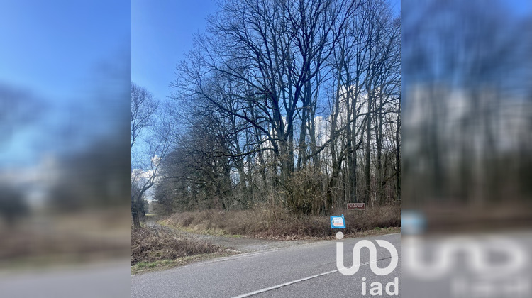 Ma-Cabane - Vente Terrain Carling, 2363 m²