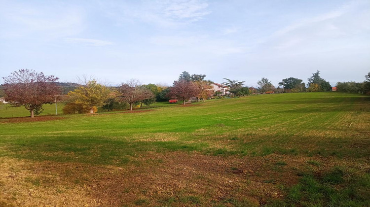 Ma-Cabane - Vente Terrain CARLUS, 1609 m²