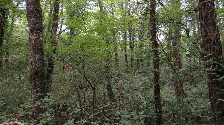 Ma-Cabane - Vente Terrain CARMAUX, 33821 m²