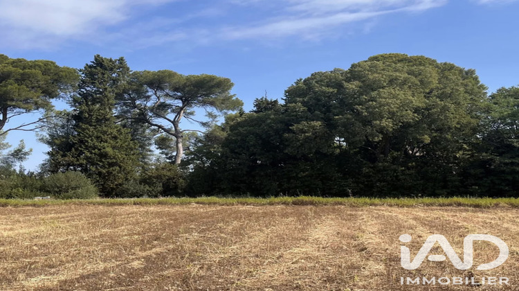 Ma-Cabane - Vente Terrain Carpentras, 221 m²