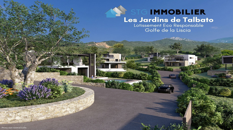 Ma-Cabane - Vente Terrain Casaglione, 981 m²