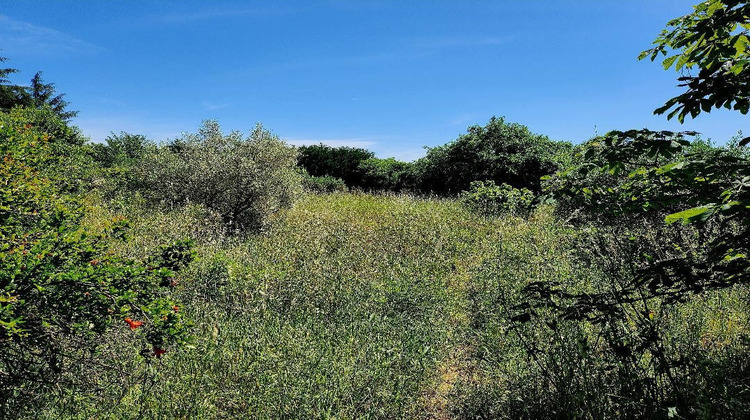 Ma-Cabane - Vente Terrain Cassagnoles, 1490 m²