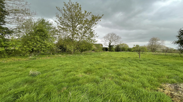 Ma-Cabane - Vente Terrain Cassel, 6000 m²