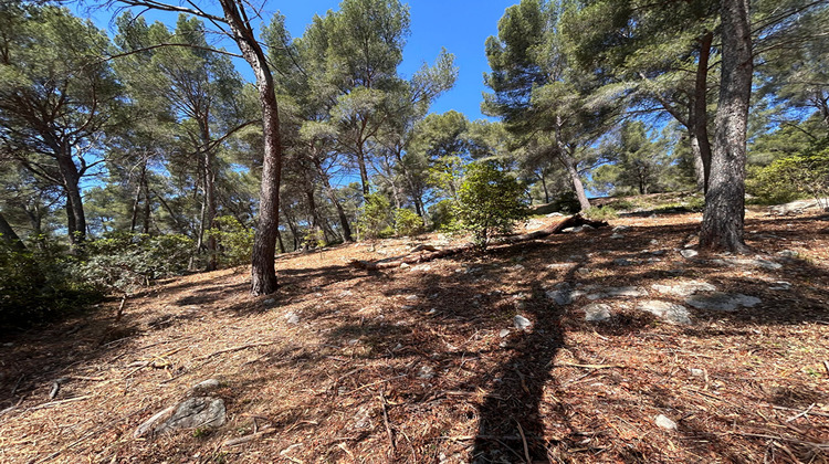 Ma-Cabane - Vente Terrain CASSIS, 1638 m²