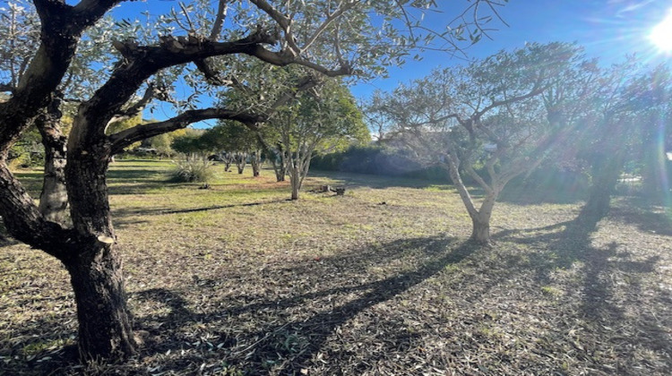 Ma-Cabane - Vente Terrain Cassis, 592 m²