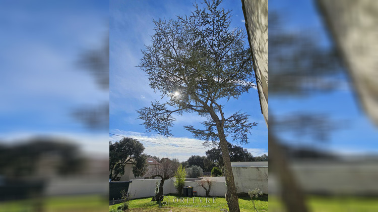 Ma-Cabane - Vente Terrain CASTELNAU-LE-LEZ, 518 m²