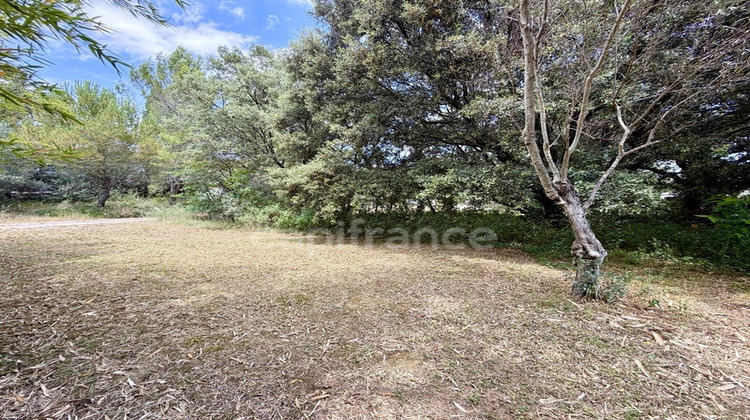 Ma-Cabane - Vente Terrain CASTELNAU LE LEZ, 1157 m²
