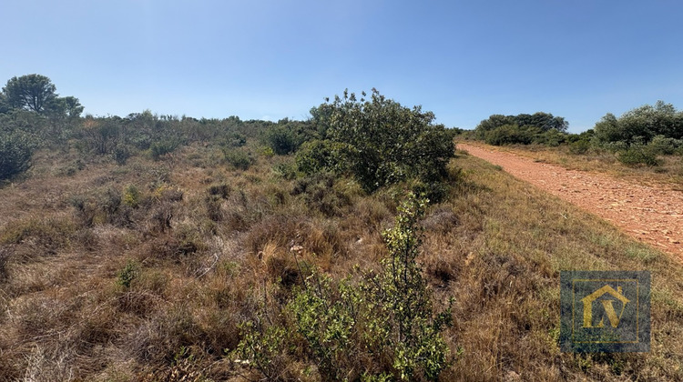 Ma-Cabane - Vente Terrain CASTELNOU, 11920 m²