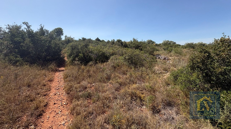 Ma-Cabane - Vente Terrain CASTELNOU, 7690 m²