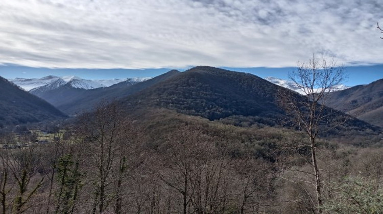 Ma-Cabane - Vente Terrain CASTILLON-EN-COUSERANS, 54099 m²