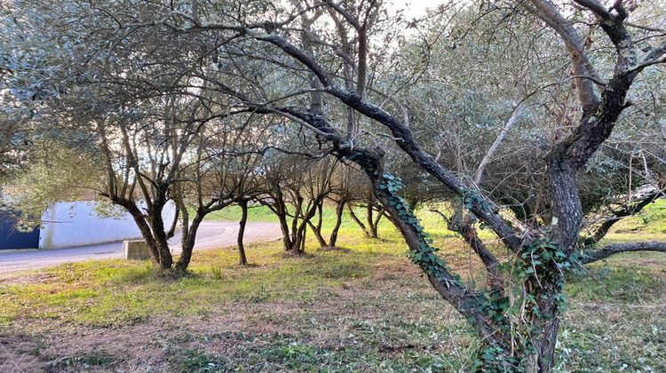 Ma-Cabane - Vente Terrain CASTRIES, 401 m²