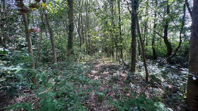 Ma-Cabane - Vente Terrain CAULNES, 1993 m²