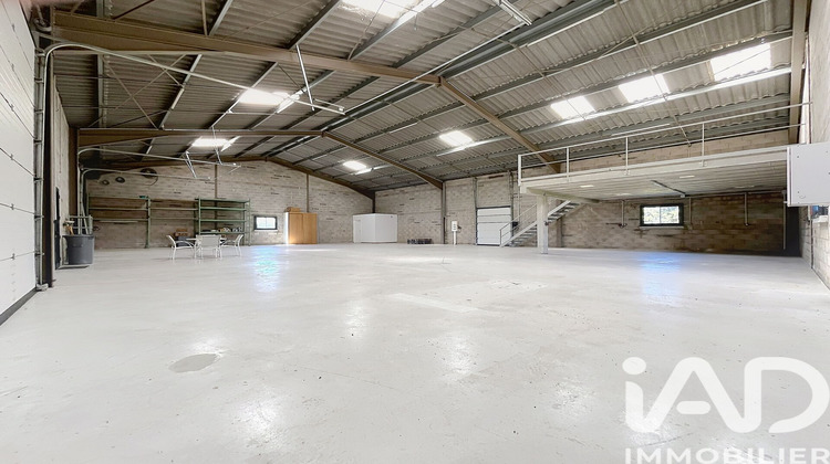 Ma-Cabane - Vente Terrain Caves, 5935 m²