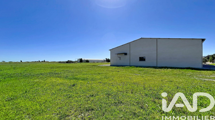 Ma-Cabane - Vente Terrain Caves, 5935 m²