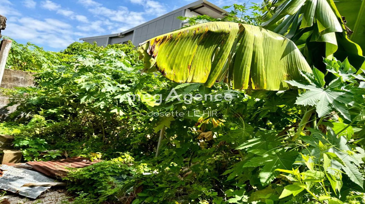 Ma-Cabane - Vente Terrain CAYENNE, 223 m²