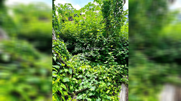 Ma-Cabane - Vente Terrain CAYENNE, 223 m²