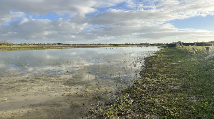 Ma-Cabane - Vente Terrain Cayeux-sur-Mer, 8390 m²