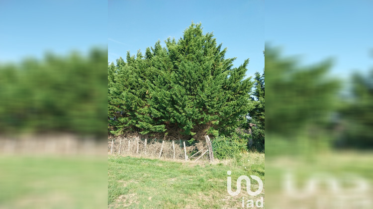 Ma-Cabane - Vente Terrain Cazes Mondenard, 3300 m²