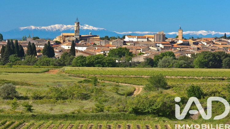 Ma-Cabane - Vente Terrain Cazouls-Lès-Béziers, 9572 m²