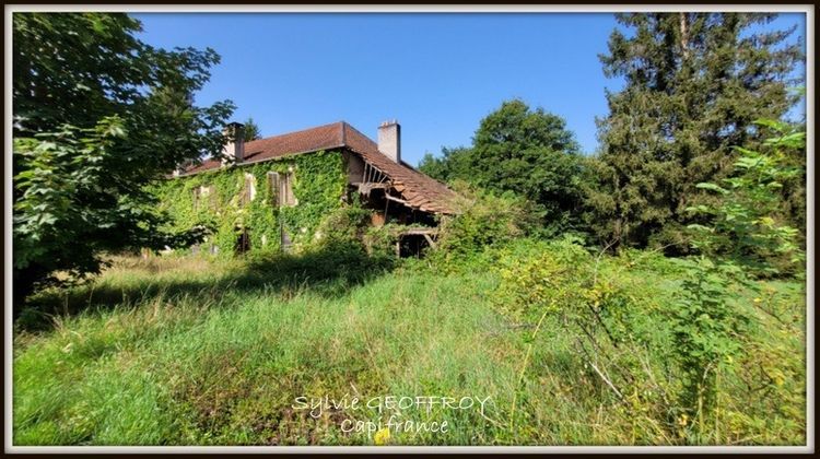 Ma-Cabane - Vente Terrain CELLES SUR PLAINE, 600 m²