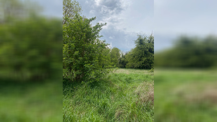 Ma-Cabane - Vente Terrain CELY, 2770 m²