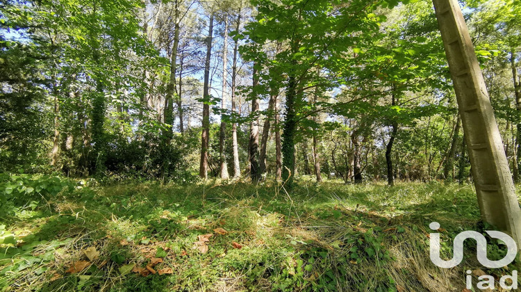 Ma-Cabane - Vente Terrain Cenne Monestiès, 5620 m²
