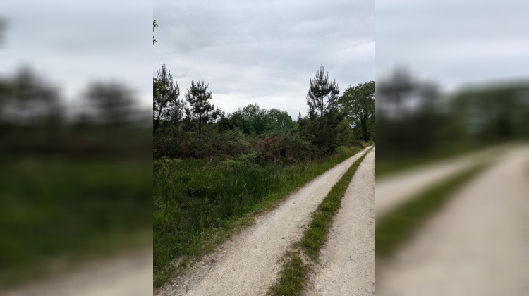 Ma-Cabane - Vente Terrain CERCOUX, 0 m²