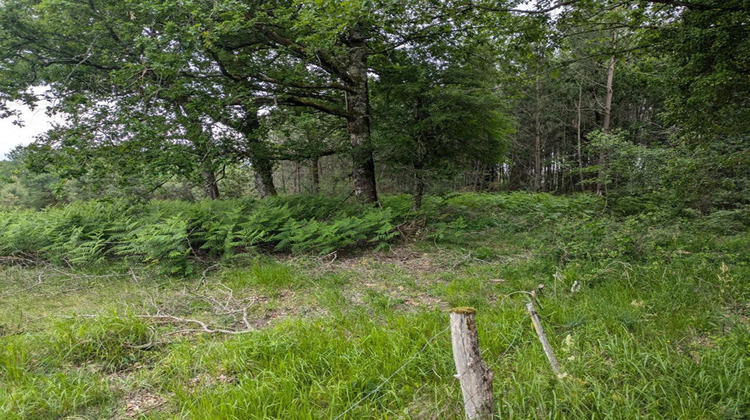 Ma-Cabane - Vente Terrain CERCOUX, 0 m²