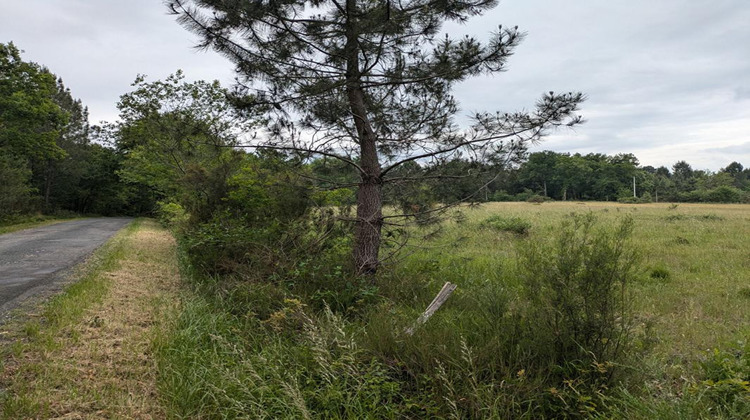 Ma-Cabane - Vente Terrain CERCOUX, 0 m²