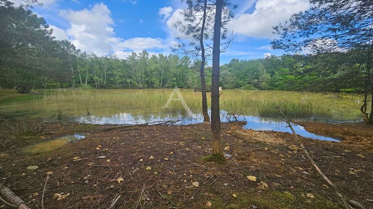 Ma-Cabane - Vente Terrain CERE-LA-RONDE, 22722 m²