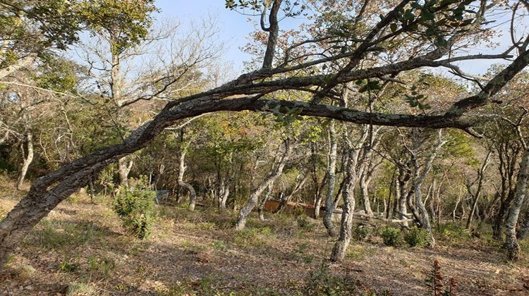 Ma-Cabane - Vente Terrain CERET, 20000 m²