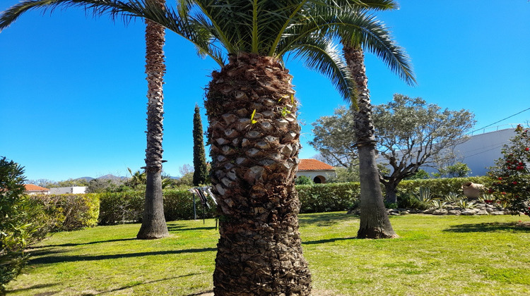 Ma-Cabane - Vente Terrain Céret, 632 m²