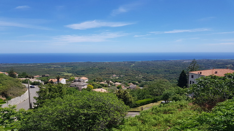 Ma-Cabane - Vente Terrain CERVIONE, 1755 m²