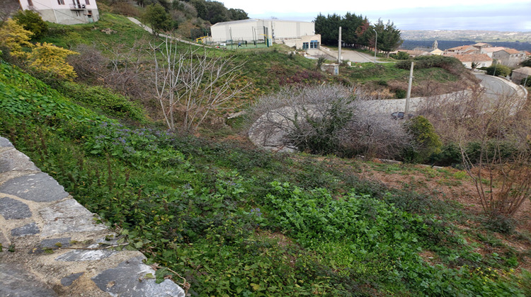 Ma-Cabane - Vente Terrain CERVIONE, 1755 m²