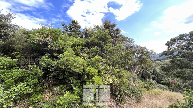 Ma-Cabane - Vente Terrain Cervione, 1860 m²