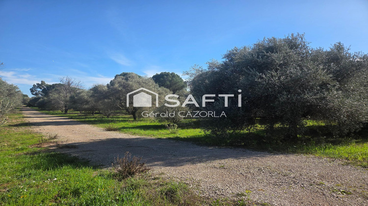 Ma-Cabane - Vente Terrain Ceyras, 240 m²