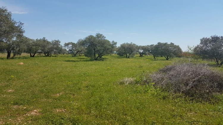 Ma-Cabane - Vente Terrain CEYRAS, 2632 m²