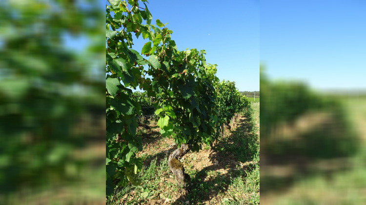 Ma-Cabane - Vente Terrain Chagny, 0 m²
