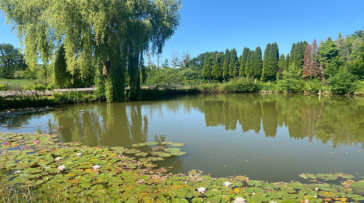 Ma-Cabane - Vente Terrain CHAILLAND, 4280 m²