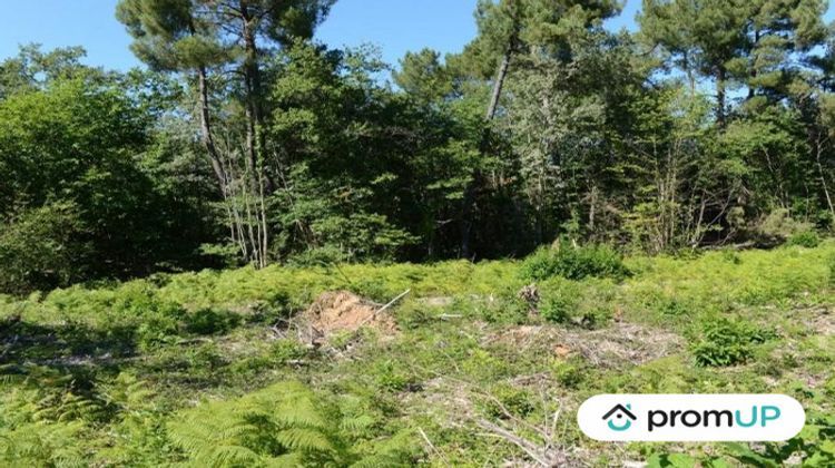 Ma-Cabane - Vente Terrain Chalagnac, 2615 m²