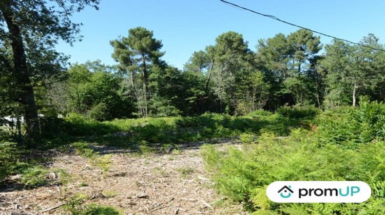 Ma-Cabane - Vente Terrain Chalagnac, 2615 m²