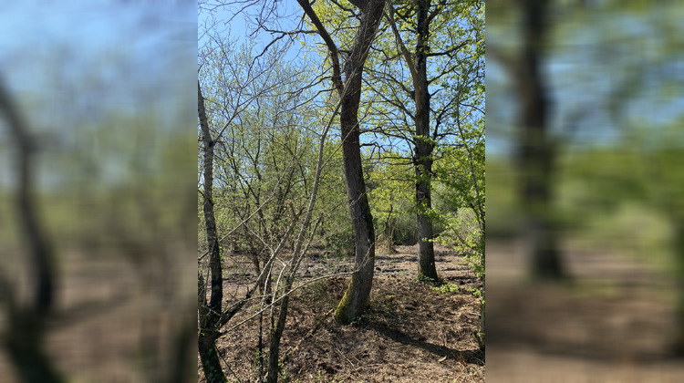 Ma-Cabane - Vente Terrain Challans, 2200 m²