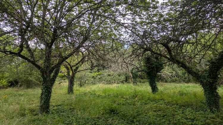 Ma-Cabane - Vente Terrain Challuy, 1938 m²