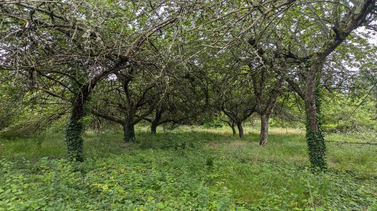 Ma-Cabane - Vente Terrain Challuy, 1938 m²