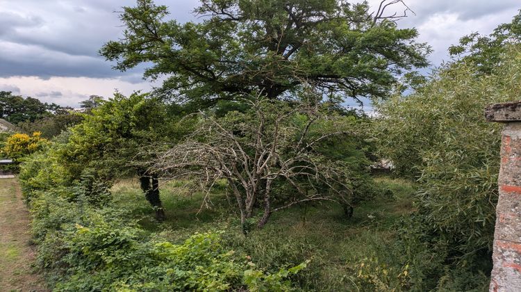 Ma-Cabane - Vente Terrain Challuy, 1938 m²